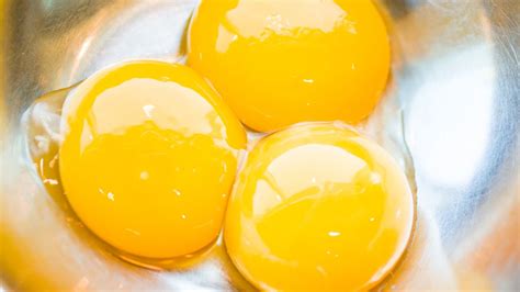 egg yolks deutsch|eggyolk .